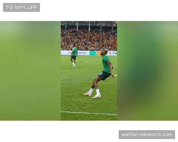 奥斯梅恩引领非洲足球新篇章：荣耀与未来备受瞩目