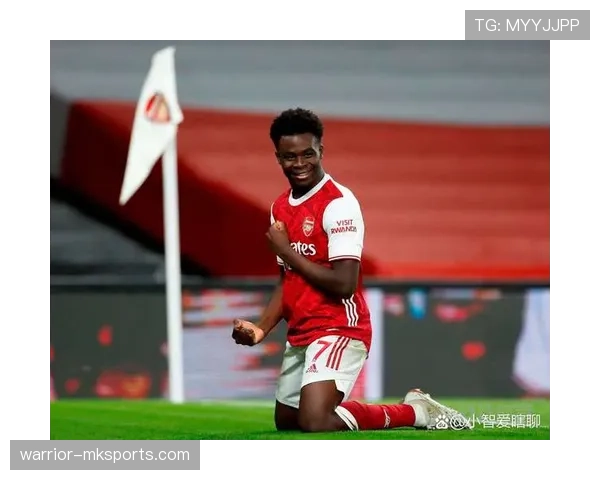 萨卡对阿森纳积分贡献解析