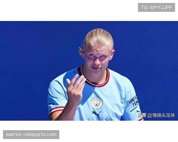 哈兰德传统九号位角色解析